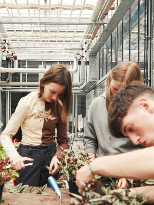 Schülerinnen und Schüler befinden sich in einem Glashaus