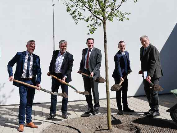 Gemeinsame Baumpflanzung