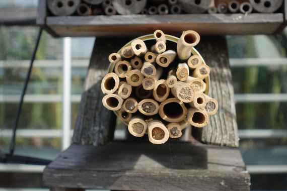 zu sehen sind Hölzer mit runden Öffnungen, die in einem Holz stecken