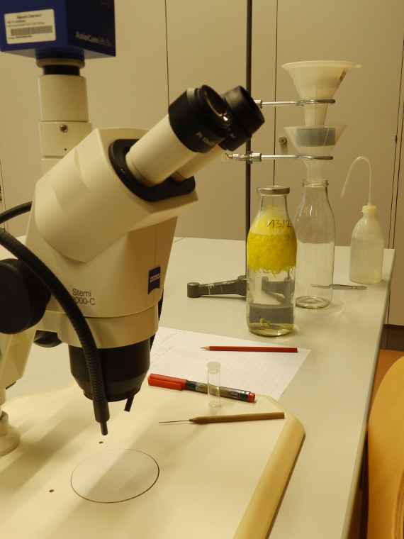 zu sehen ist ein Mikroskop auf einem Labortisch, daneben steht eine Flasche mit gelben Inhalt