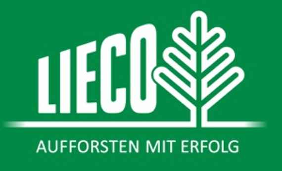 Lieco Aufforsten mit Erfolg