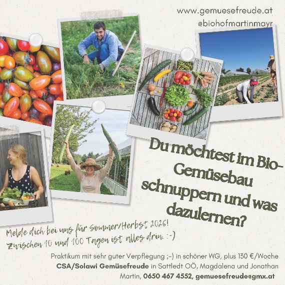 Stellenausschreibung Gemüsefreude