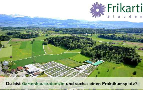 Luftaufnahme mit Blick auf das Betriebsgelände