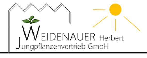 Logo Weidenauer Jungpflanzen