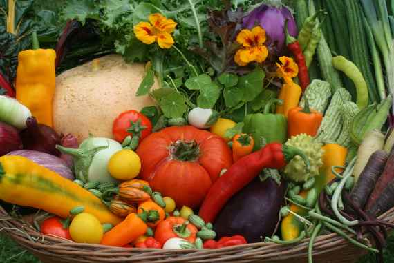 Diverse Gemüsesorten in einem Web Korb.
