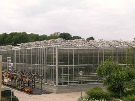 Glashaus mit Blumen und Sträuchern im Vordergrund