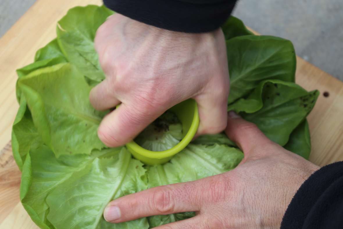 zu sehen ist ein grüner Salat, aus dem das Salatherz ausgestochen wird
