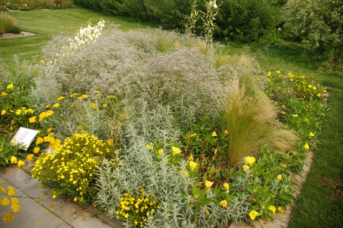 Staudenmischung "Kleiner Indianersommer"