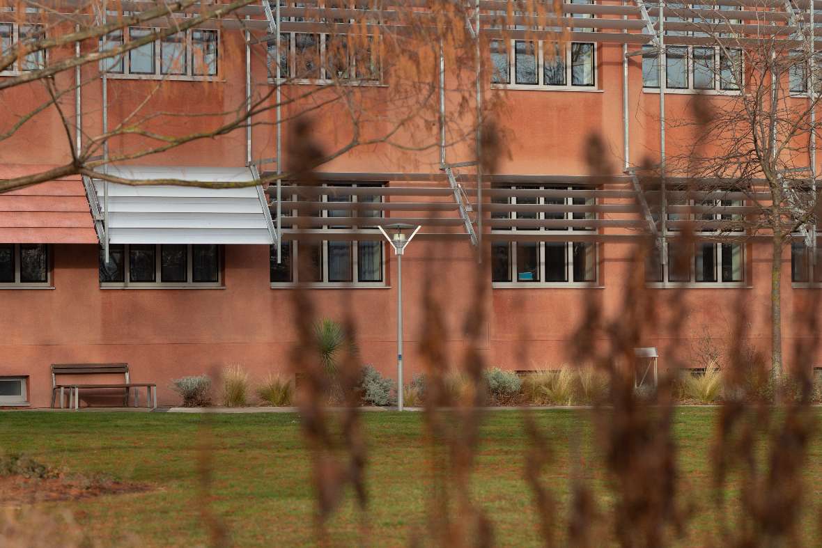 Blick auf unser Schulhaus mit Wüstengarten