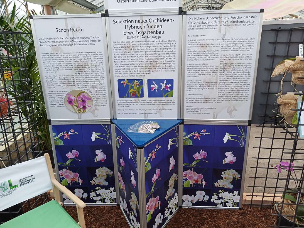 zu sehen ist ein Messestand mit drei verschiedenen Plakaten über Orchideen