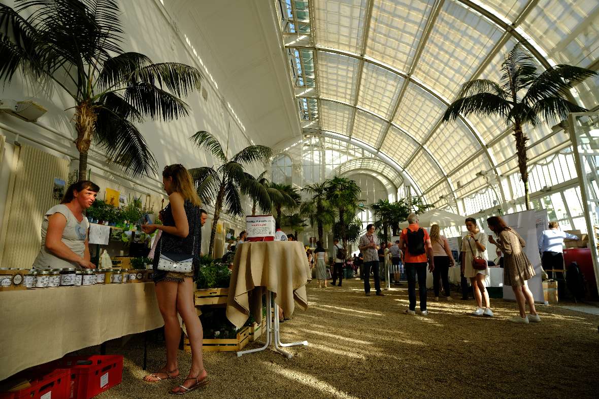 Leute stehen an Ständen im Palmenhaus Burggarten