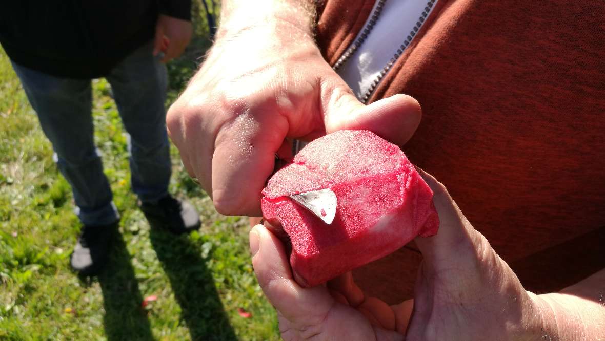 Ein rotfleischiger Apfel wird angeschnitten