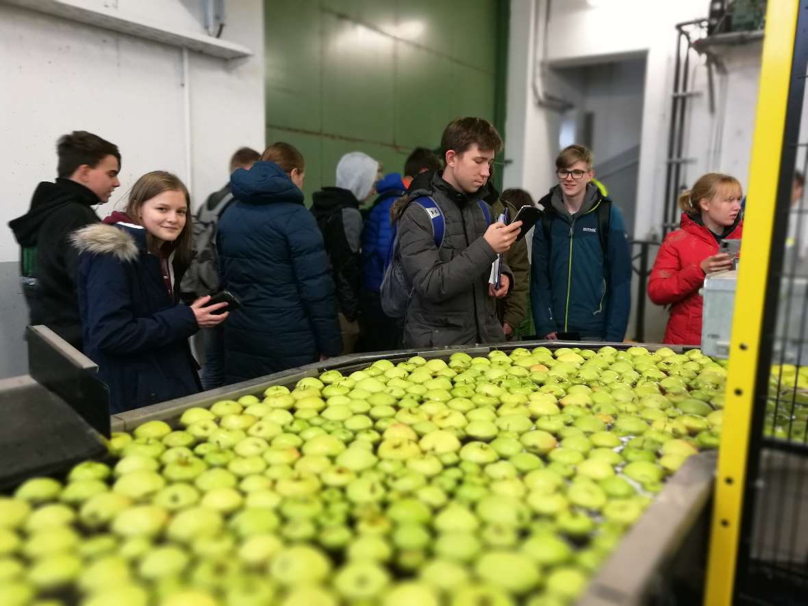 Schülerinnen und Schüler betrachten die aufschwimmenden grünen Äpfel in der Sortiermaschine