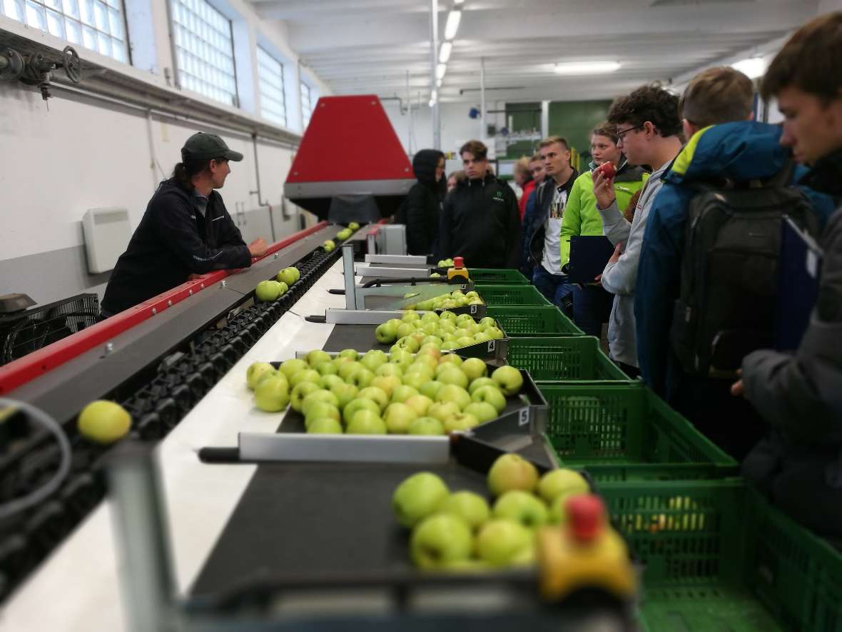 Schülerinnen und Schüler stehen vor der Obstsortiermaschine