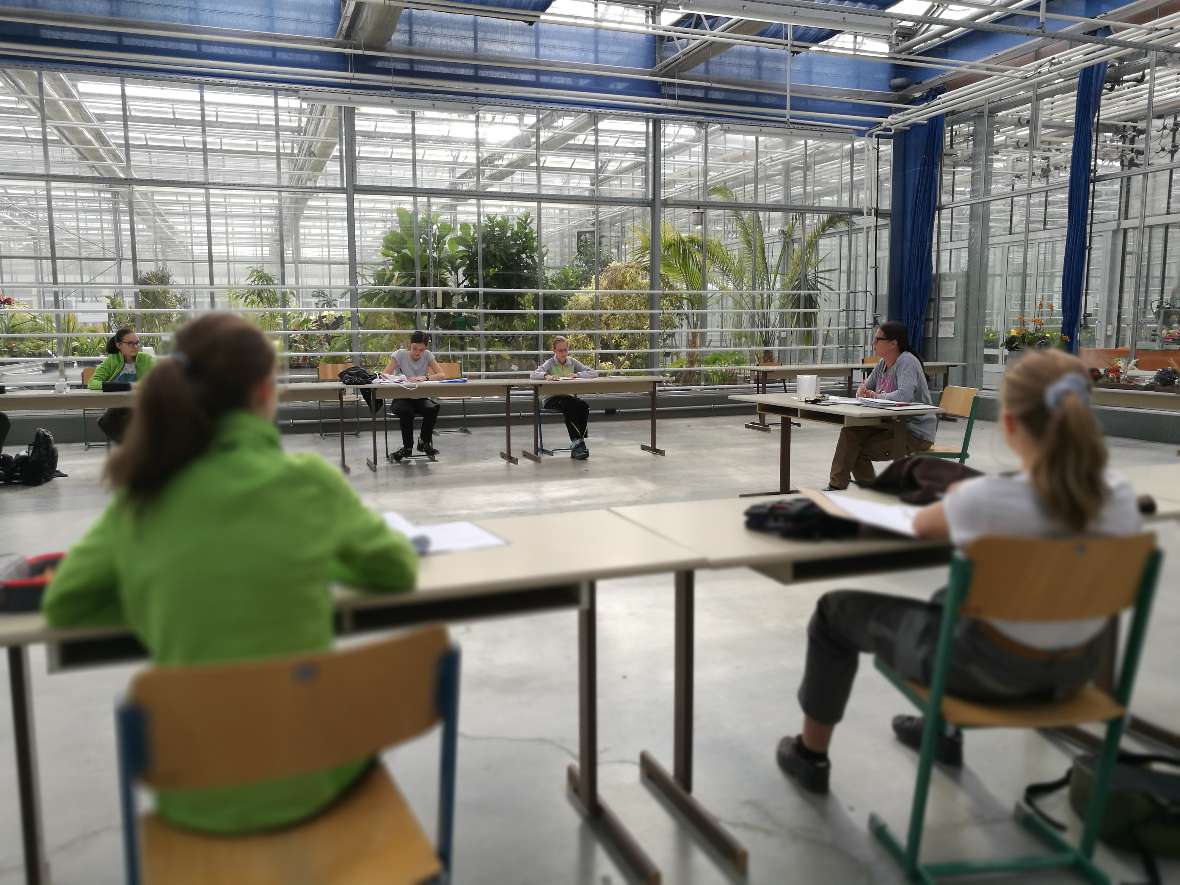 Glashaus als Klassenzimmer mit Palmen im Hintergrund