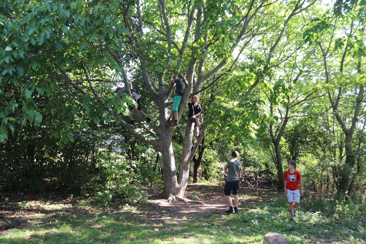 Schülerinnen und Schüler beim Klettern