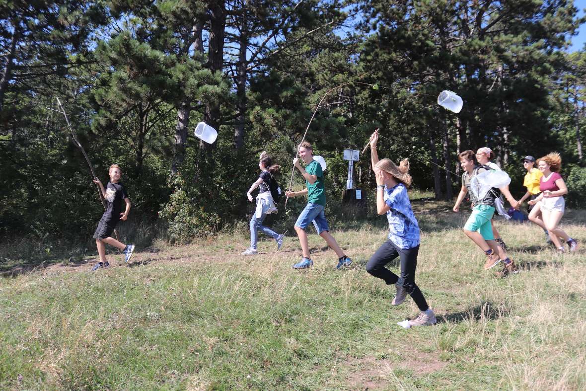 Schülerinnen und Schüler lassen ihre selbst gebastelten Flugdrachen steigen.