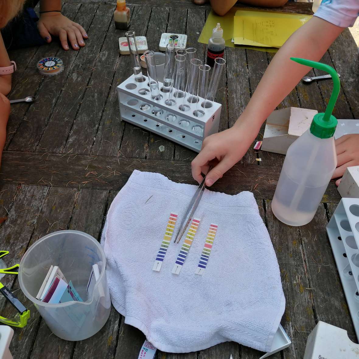 Neben Forschungsutensilien liegen drei Streifen Indikatorpapier um den Säuregrad des Bodens zu bestimmen 