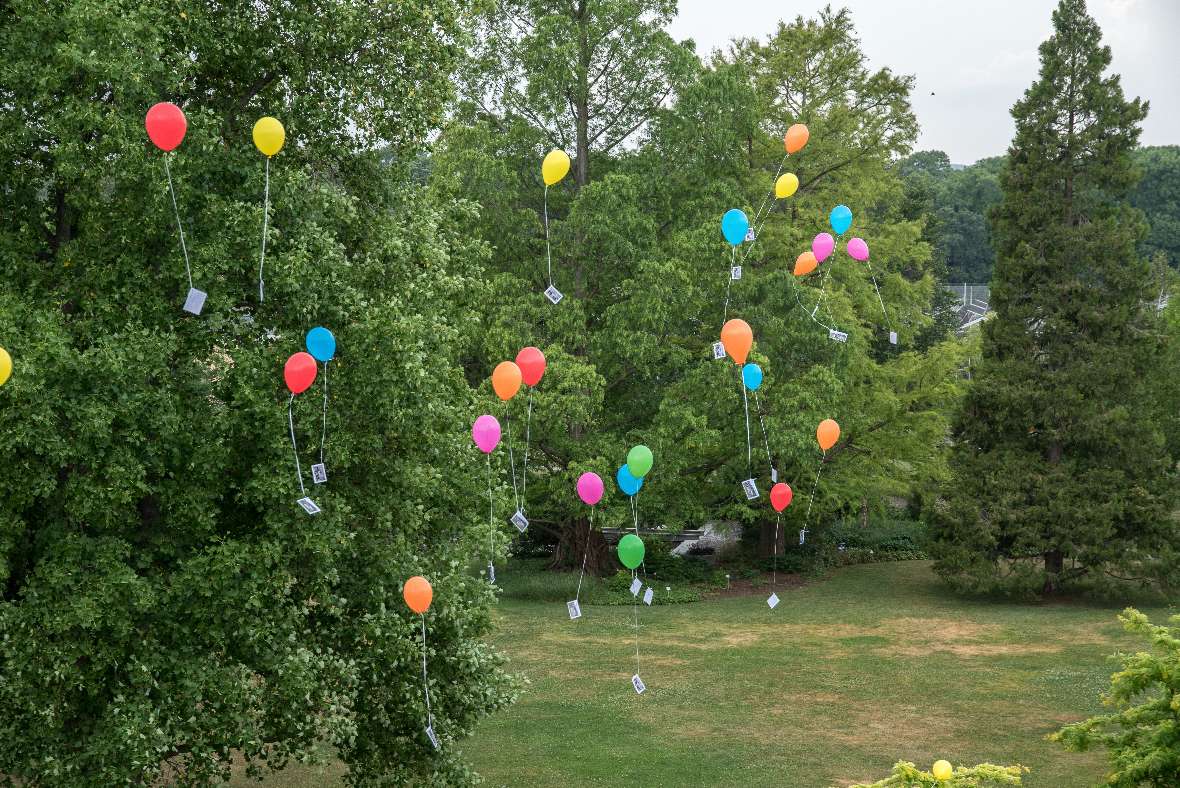 Im Schulgarten werden Luftballons freigelassen