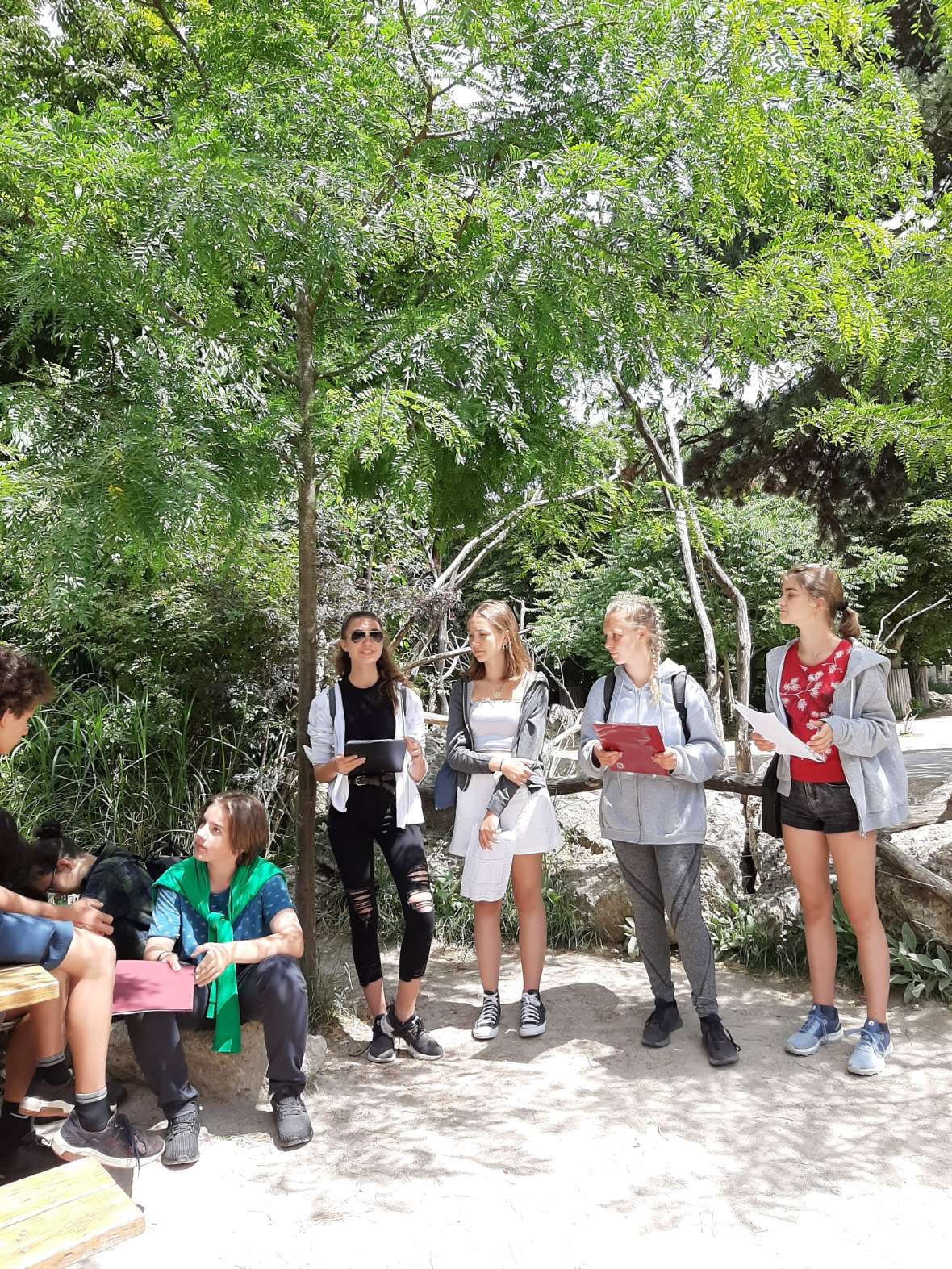 Schülerinnen und Schüler beobachten Tiere im Tiergarten