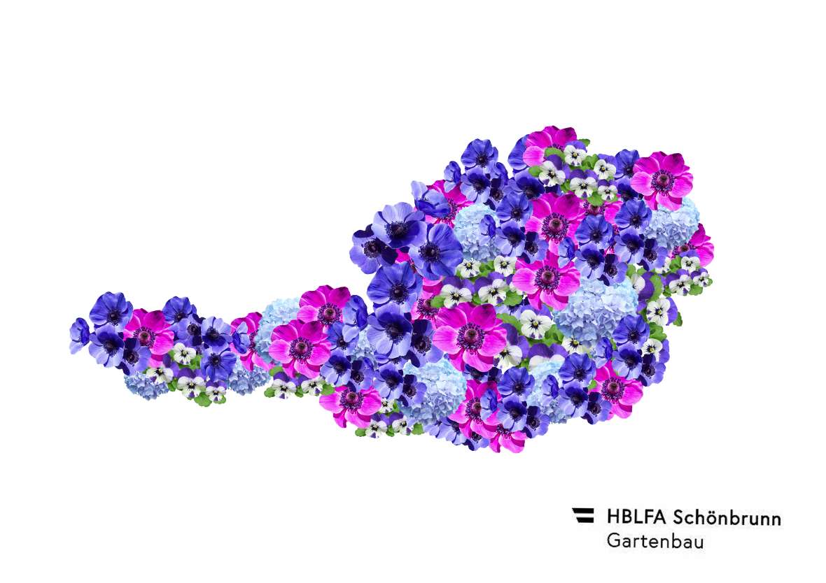 Blüten in lila und blau formen die Umrisse Österreichs