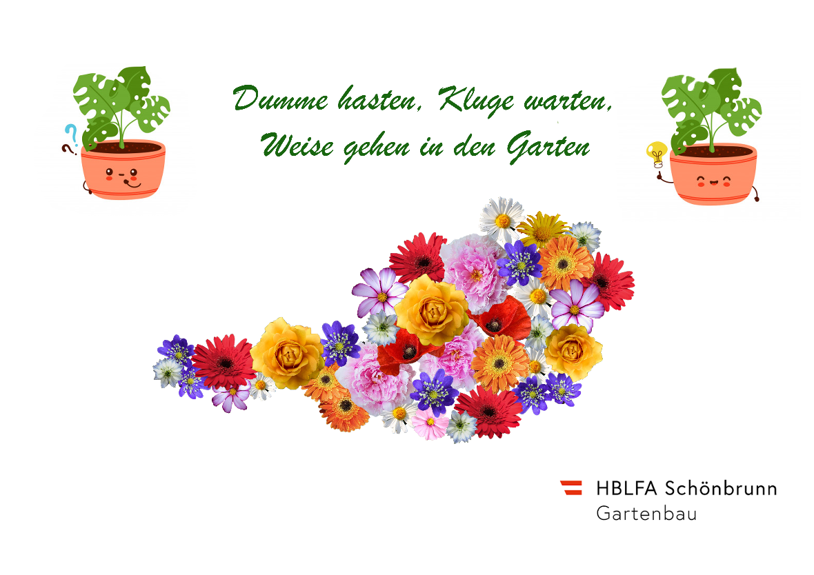 Blüten formen die Umrisse Österreichs