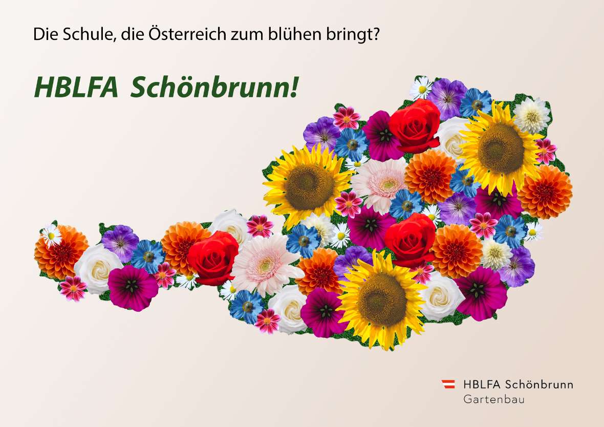 Bunte Blüten formen die Umrisse Österreichs