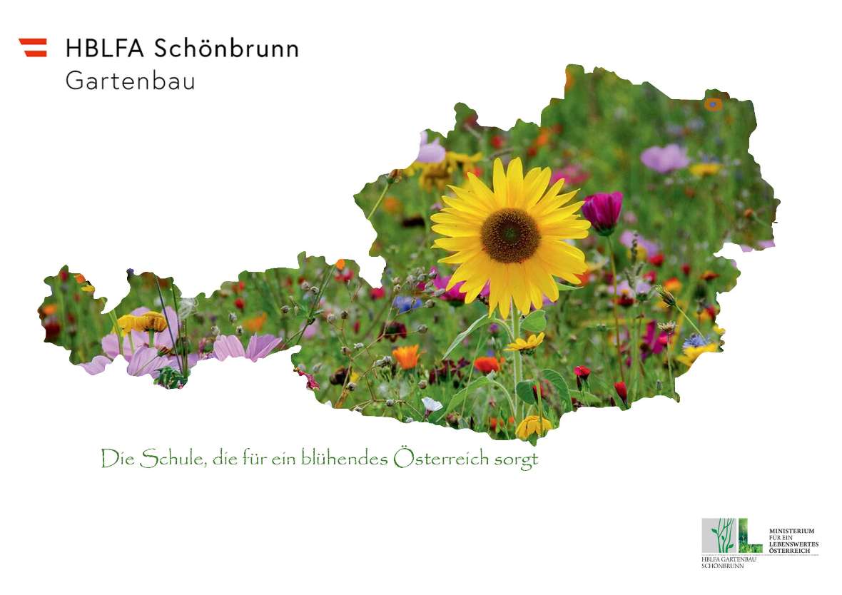 Ein Foto einer Blumenwiese hat die Form von Österreich