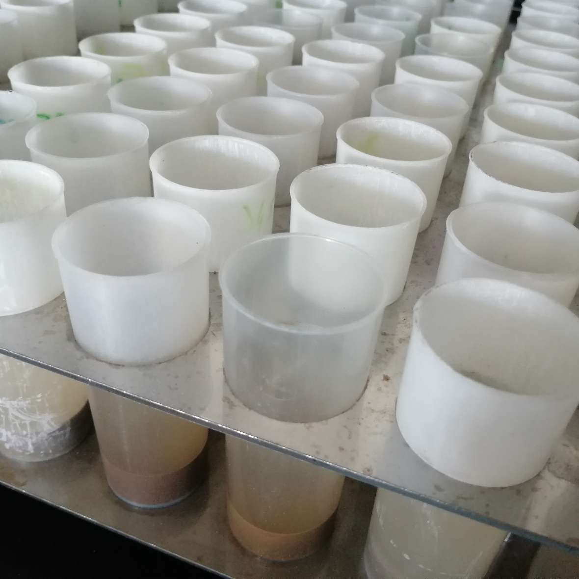 Kunststoffbecher mit flüssigen Proben, bei denen der pH-Wert bestimmt werden soll