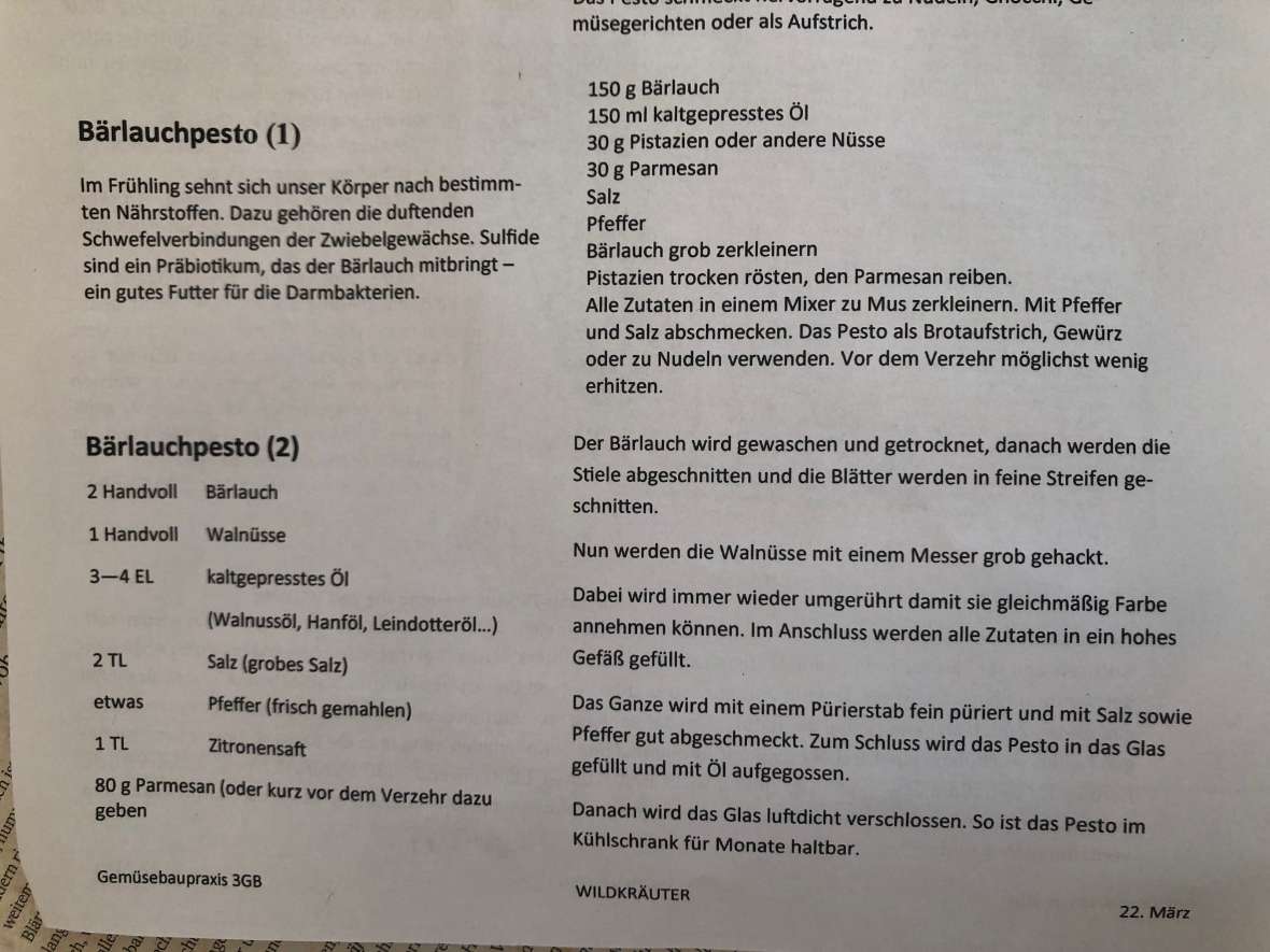 Rezept für Bärlauchpesto