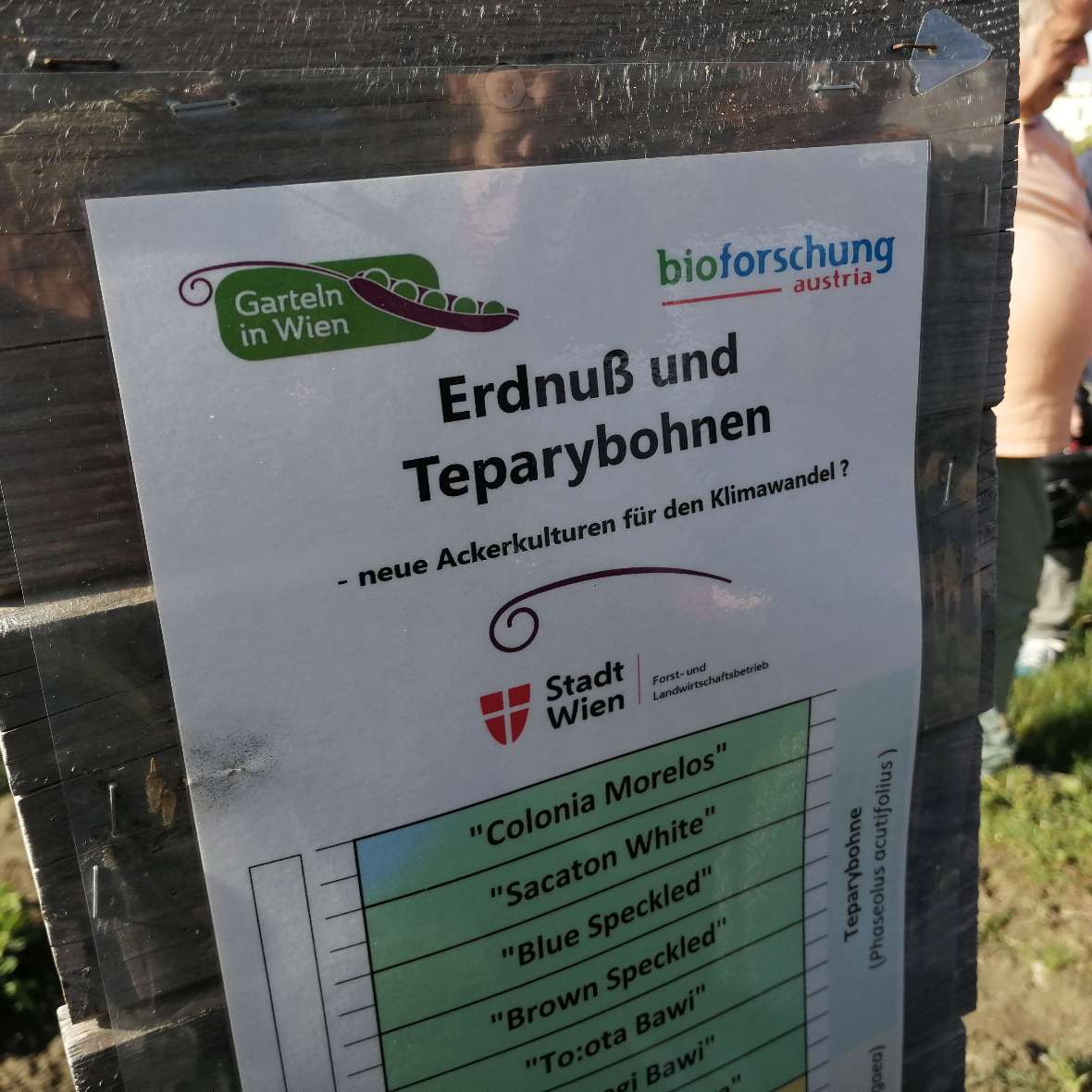 Hinweisschild zu Erdnuss und Teparybohnen am Forschungsfeld der Bio Forschung Austria