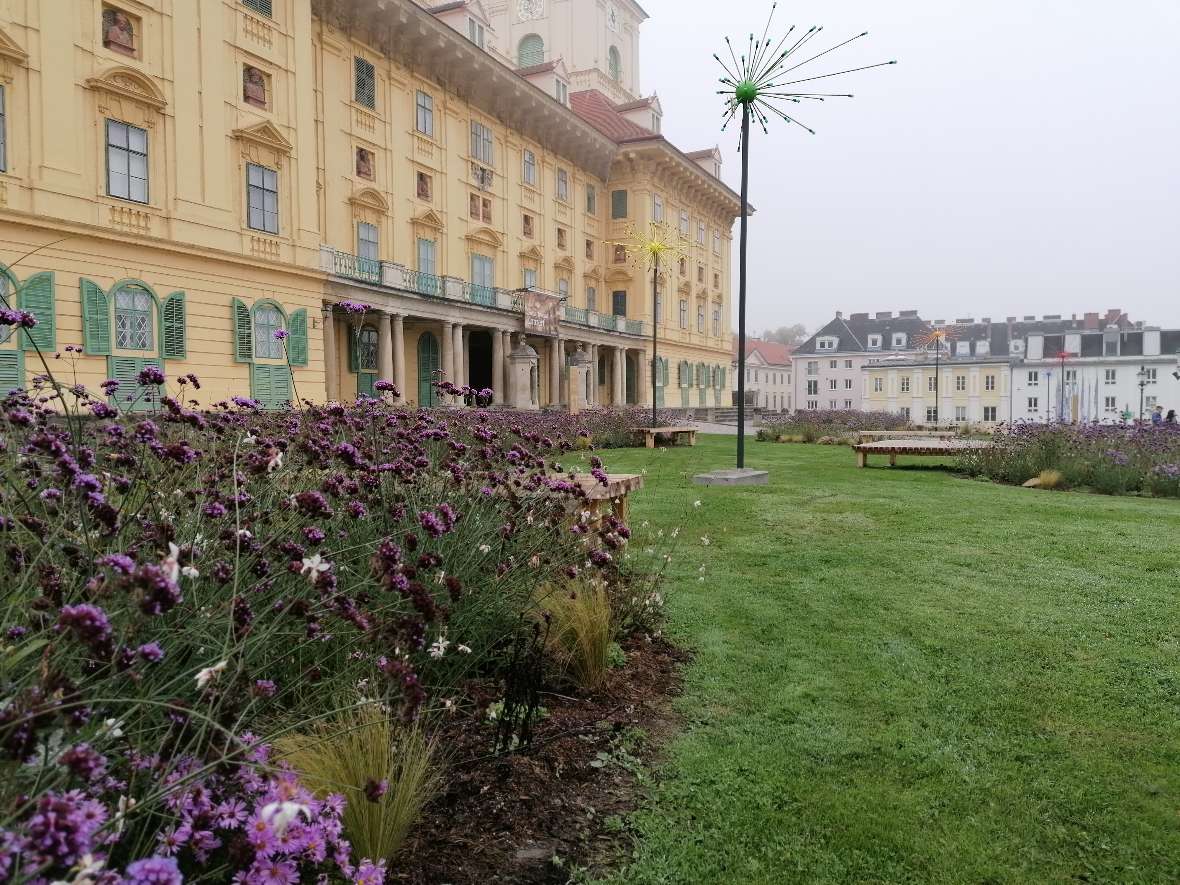 Lila blühendes Stauden- und Gräserbeet links und Rasenfläche rechts vor gelber Schlossfassade