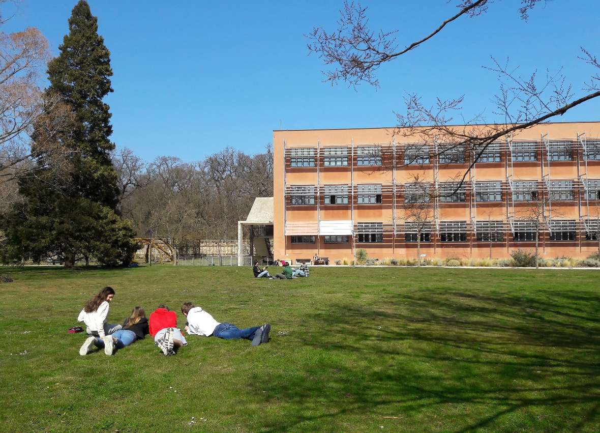 Schüler:innen auf der großen Wiese vor der Schule beim Bearbeiten von Lesetexten