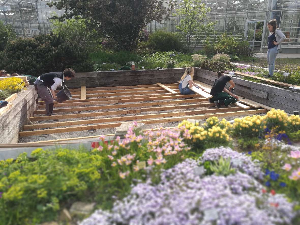 Drei Schülerinnen und ein Schüler bauen ein Holzdeck zwischen bepflanzten Hochbeeten