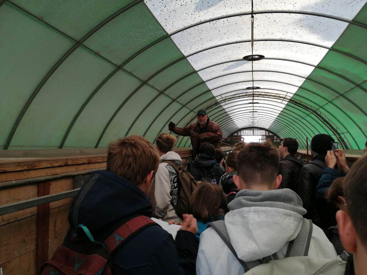 Schüler*innen besuchen den Betrieb Vermigrand in Absdorf-Hippersdorf