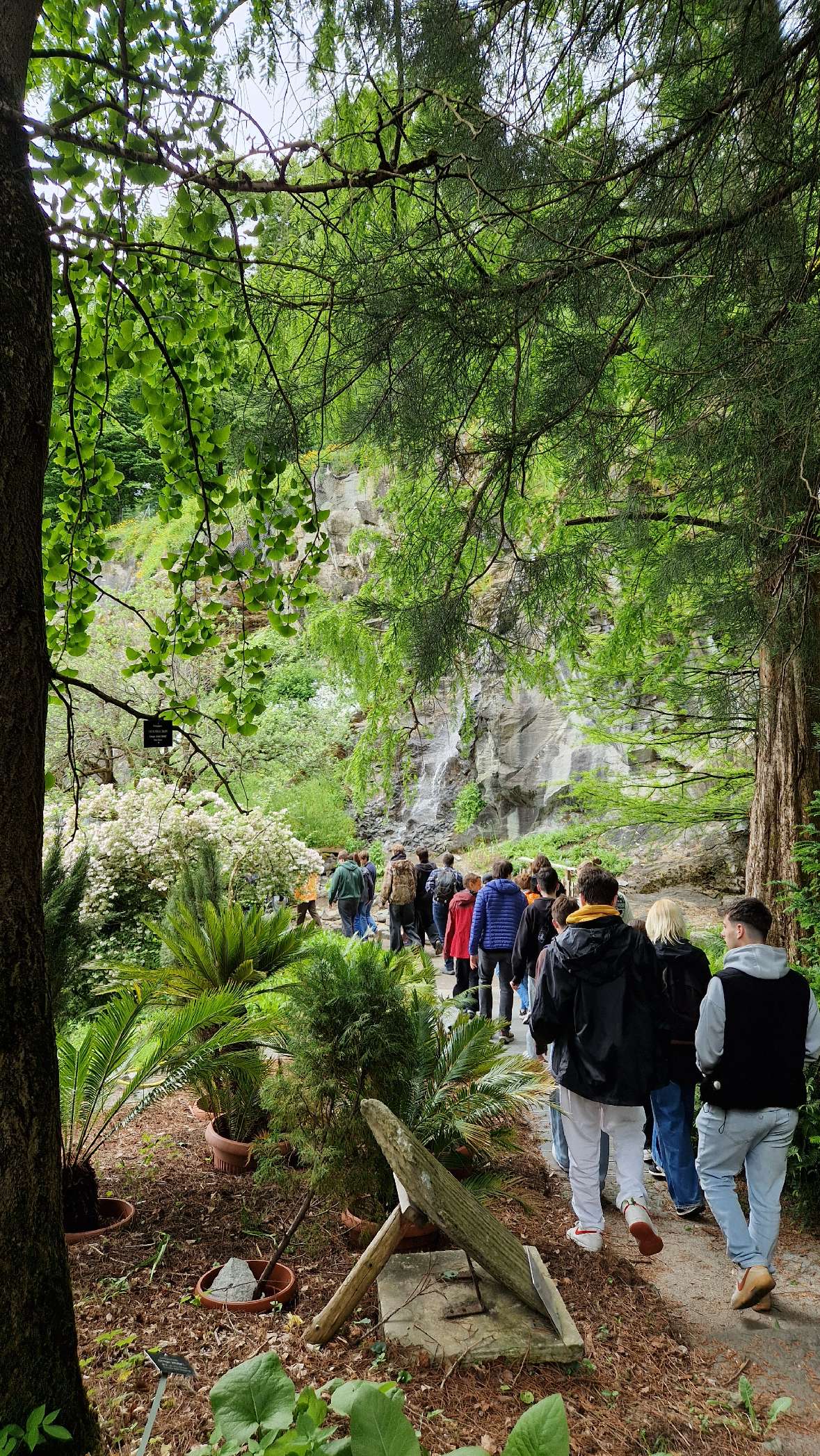 Schülerinnen und Schüler auf einem Streifzug durch den botanischen Garten Klagenfurt.