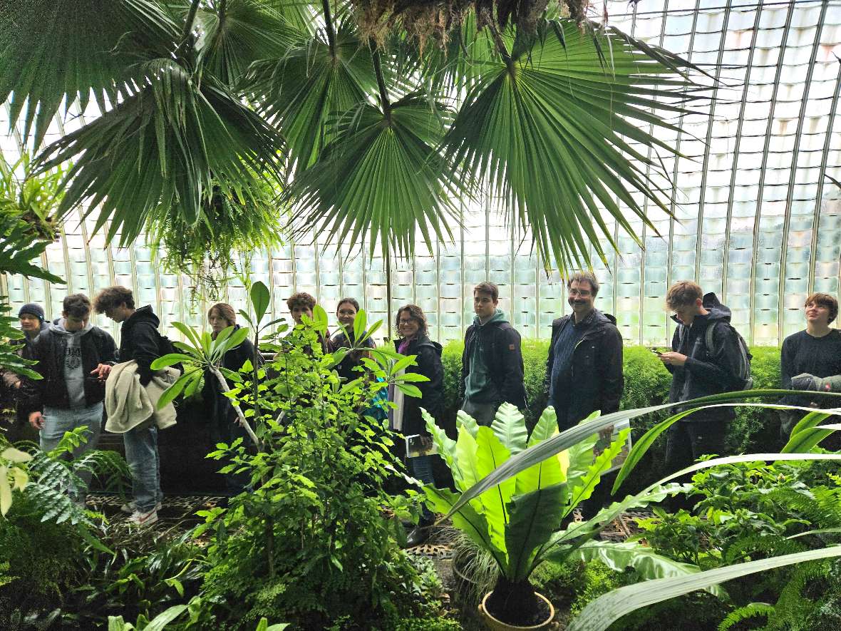 Schülerinnen und Schüler im historischen Palmenhaus