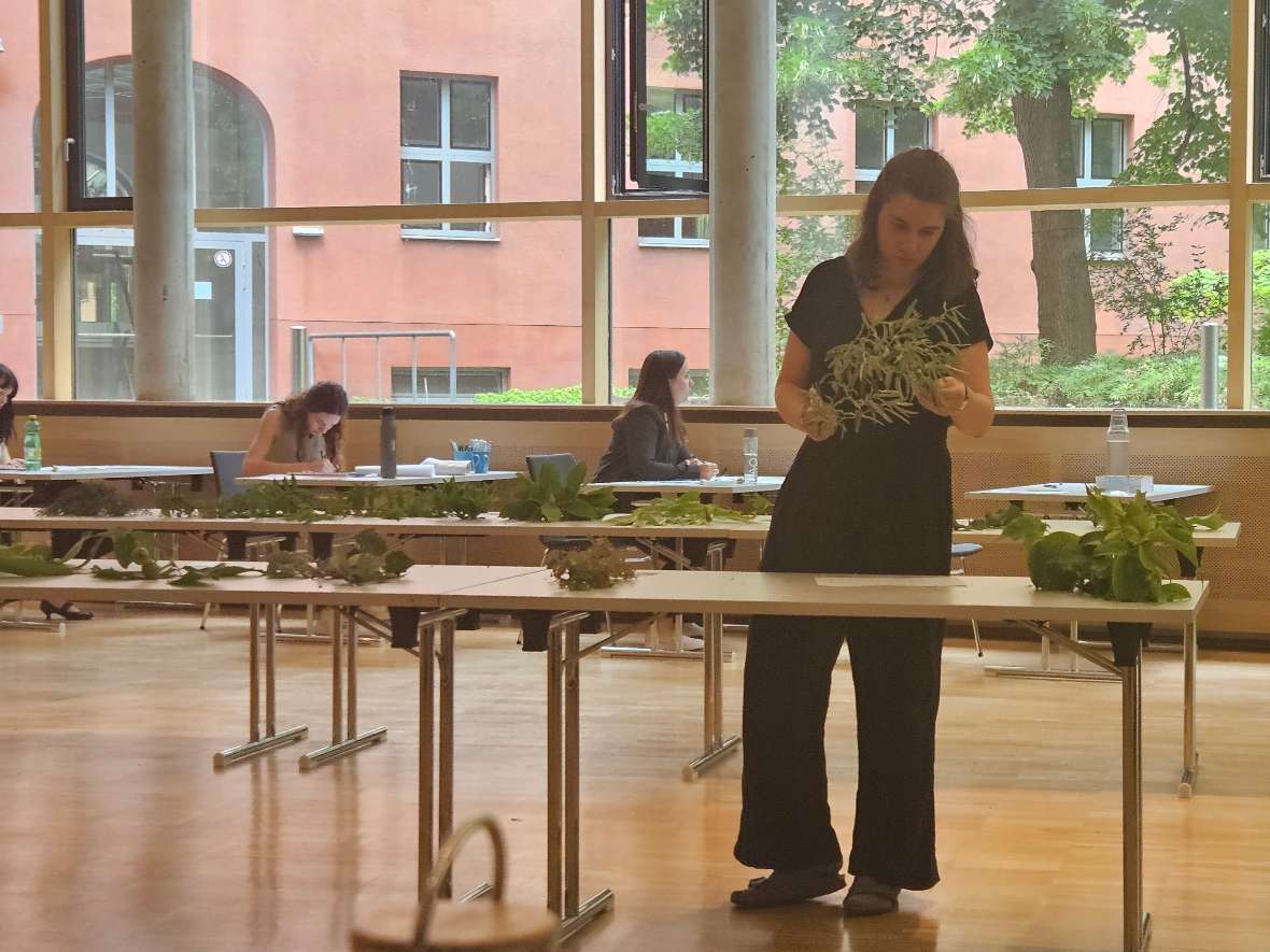 Eine Maturantin begutachtet Gehölze