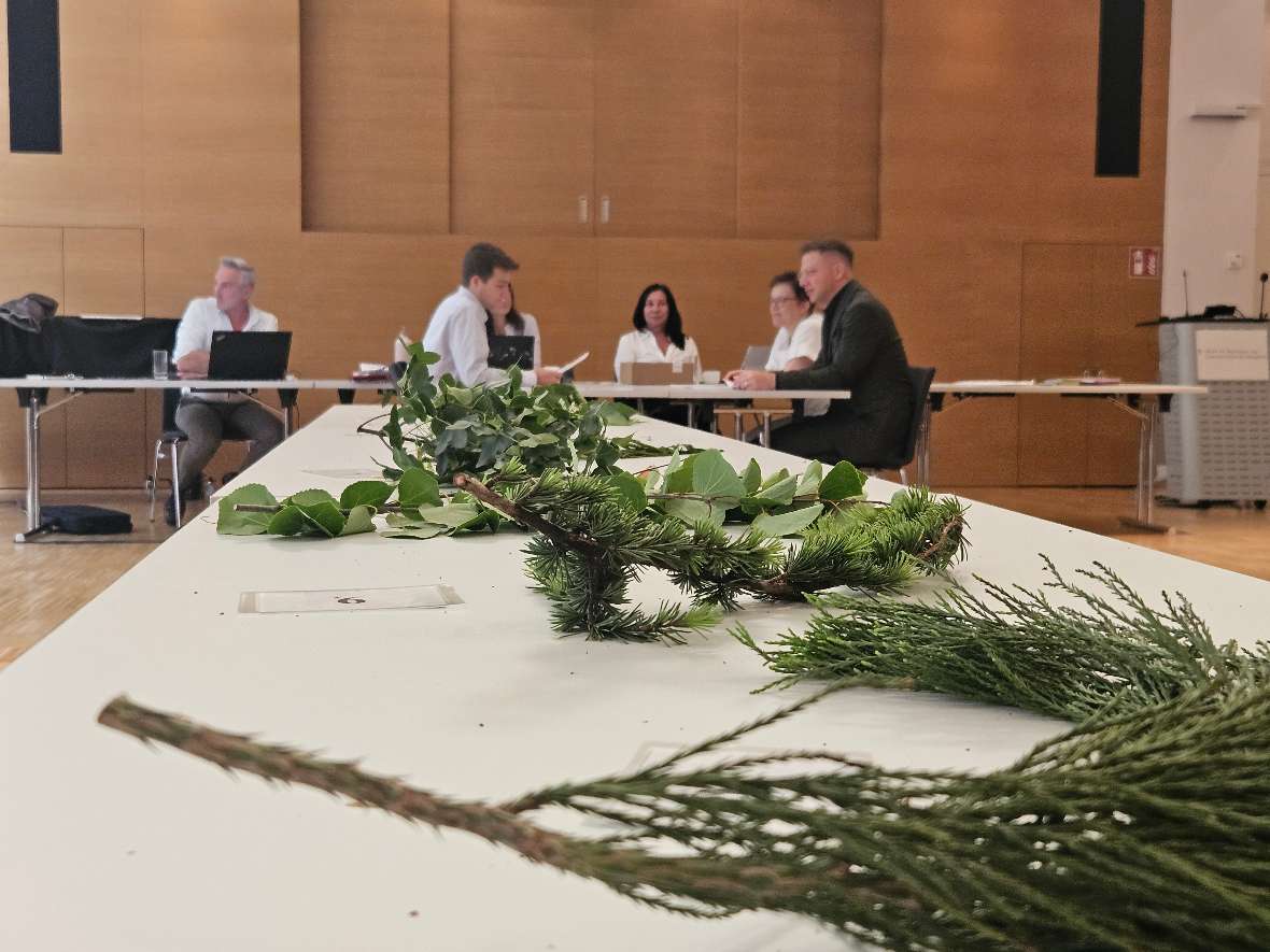 Prüfungssituation mit Gehölzen im Vordergrund