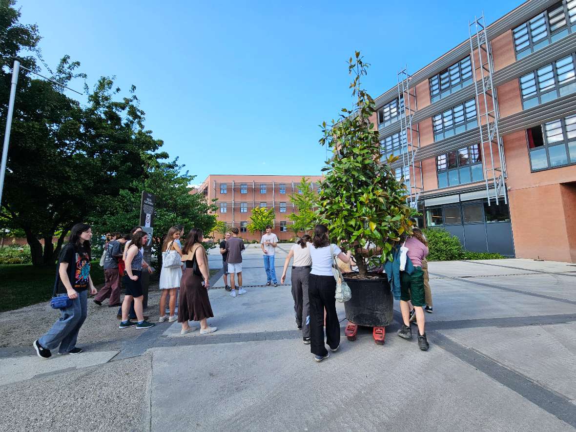Maturantinnen und Maturanten pflanzen einen Baum