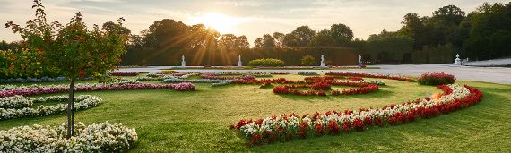 Blumenpaterre Schlosspark Schönbrunn