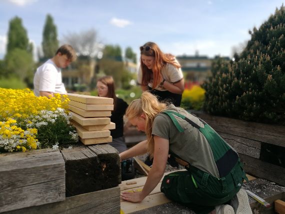 Ein Schüler und drei Schülerinnen bauen ein Holzdeck