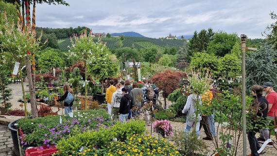 Schülerinnen und Schüler zu Besuch beim Gartenbauunternehmen Höfler.