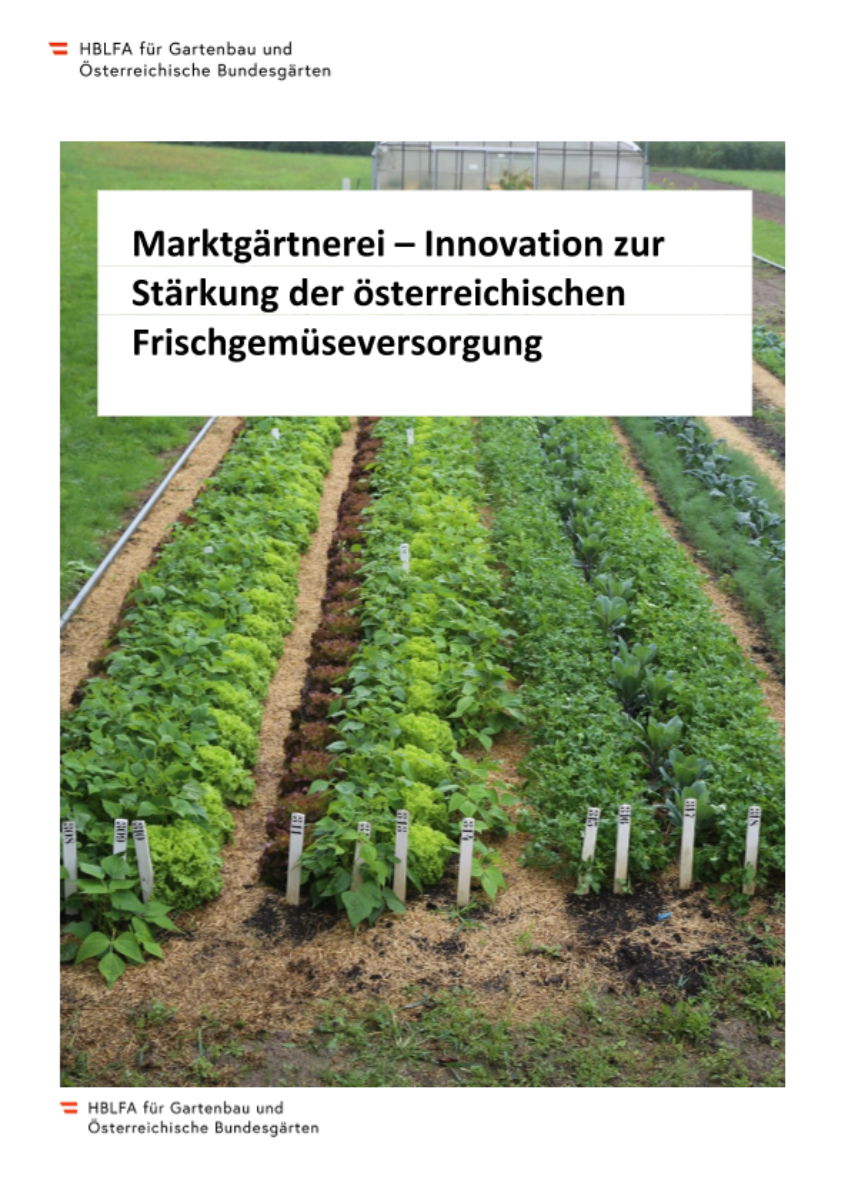 Marktgärtnerei – Innovation zur Stärkung der österreichischen Frischgemüseversorgung